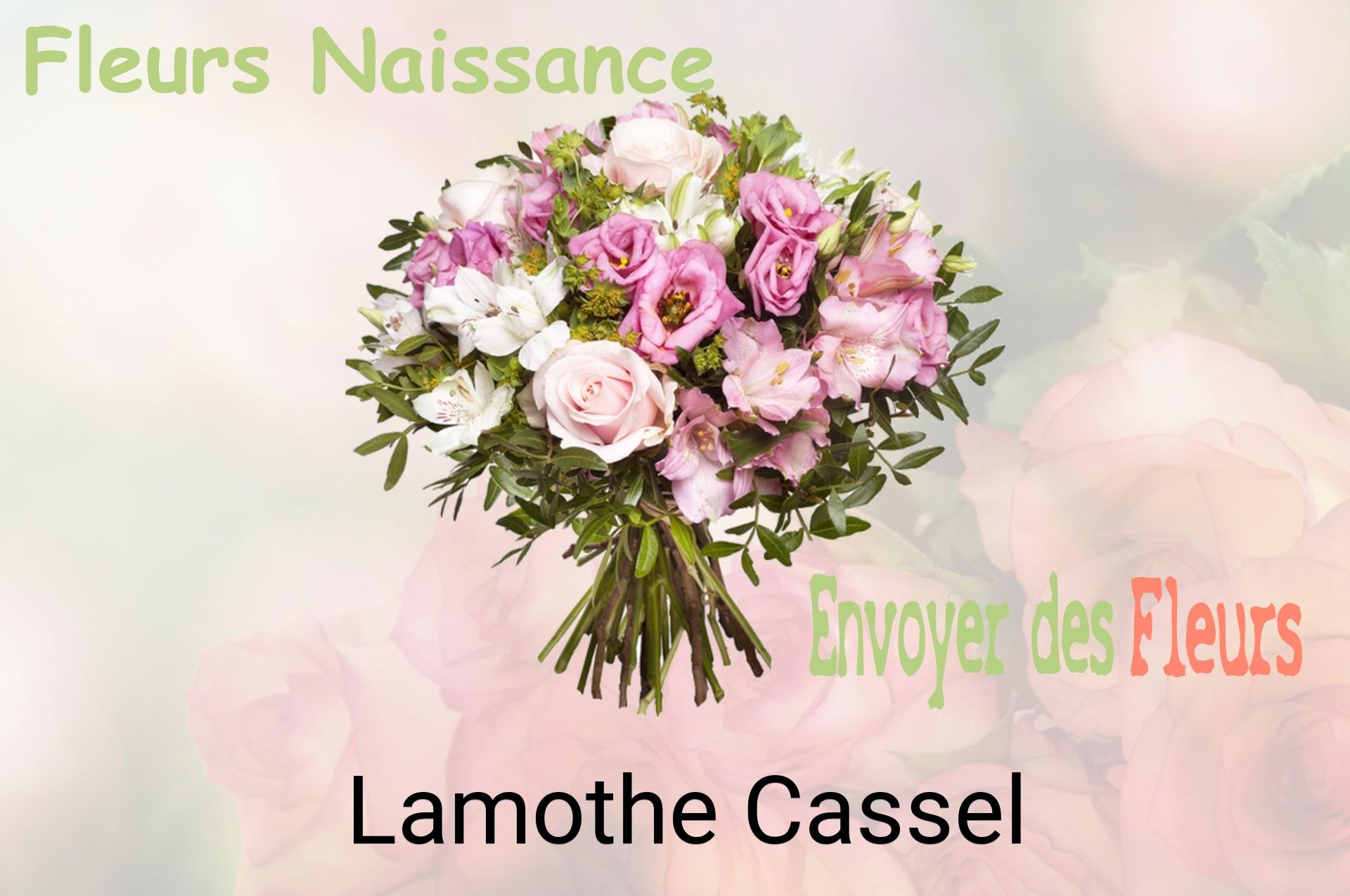 Bouquet de fleurs de naissance livré à Lamothe-Cassel